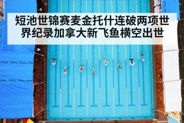 短池世锦赛麦金托什连破两项世界纪录加拿大新飞鱼横空出世